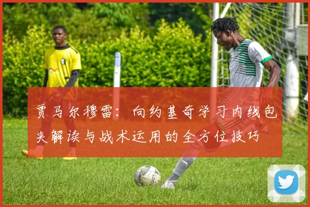 贾马尔穆雷：向约基奇学习内线包夹解读与战术运用的全方位技巧